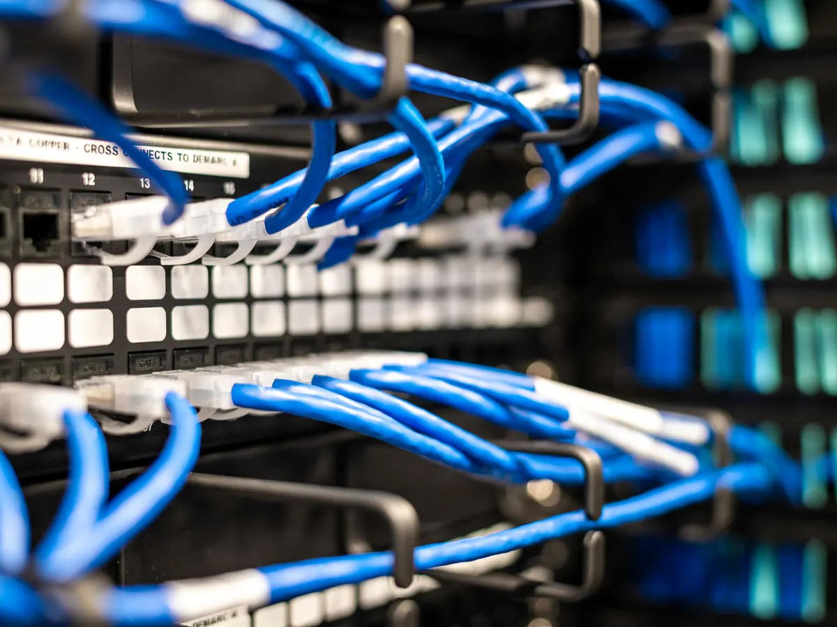 Blue network cables patched into a switch